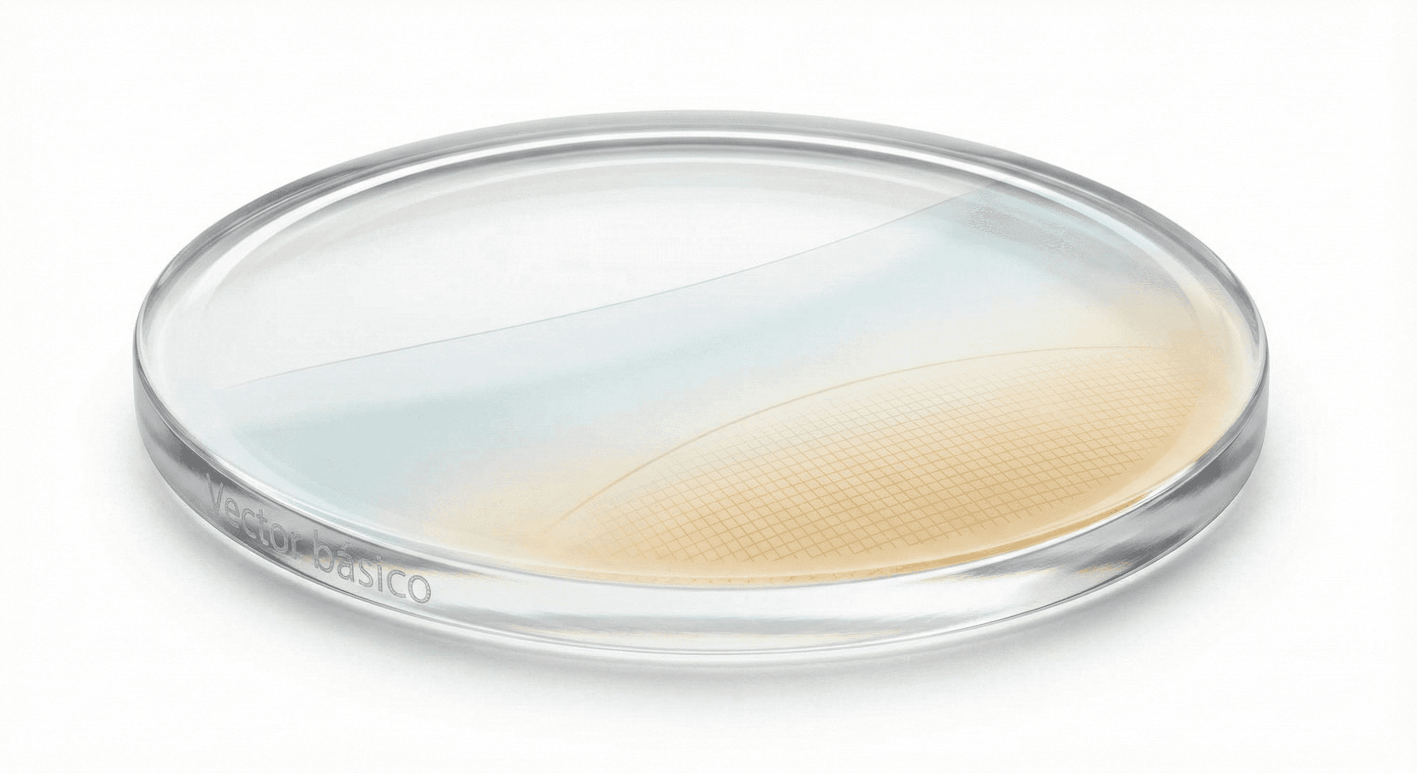 Vector Basic Digital